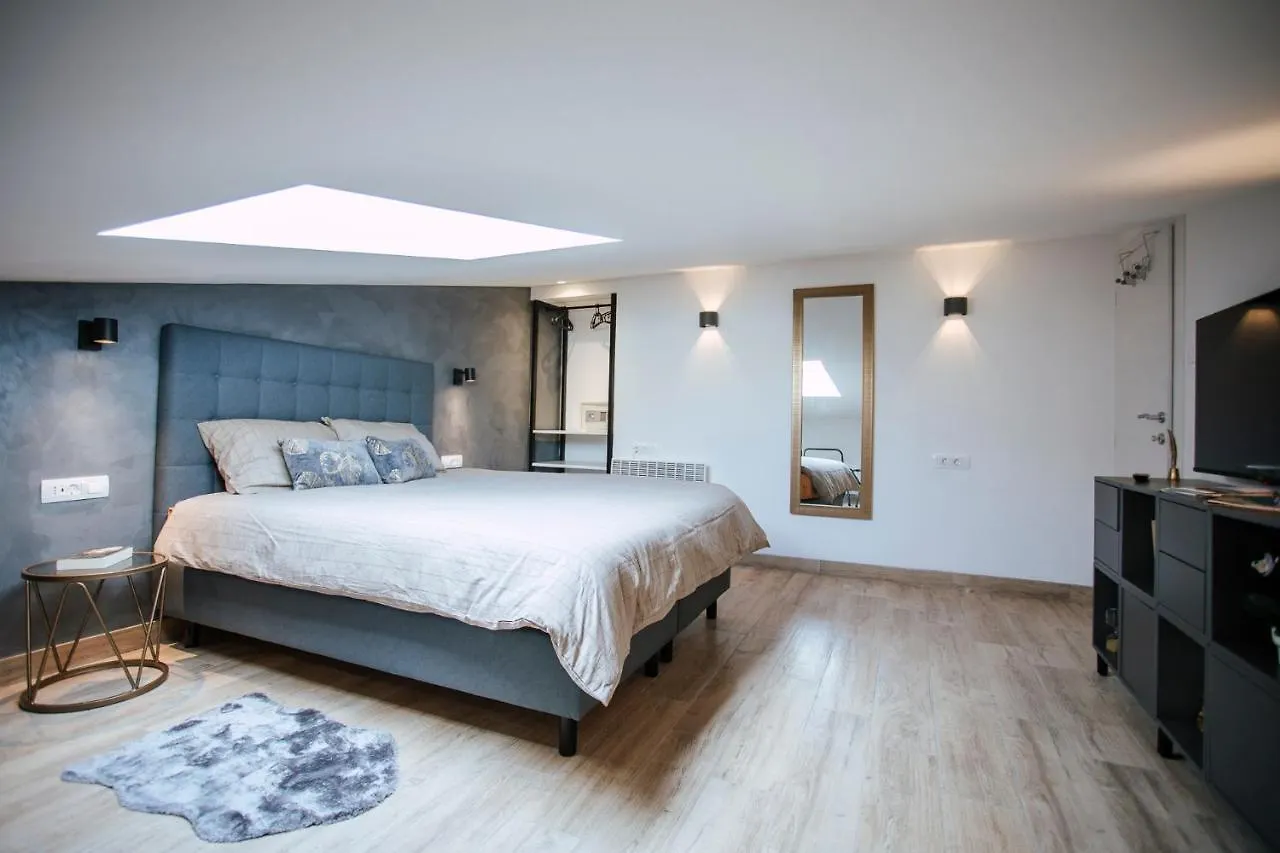Unique City Center Apartments Gran Fenice With Free Garage Parking And Roof Terrace In One Of The Apartments